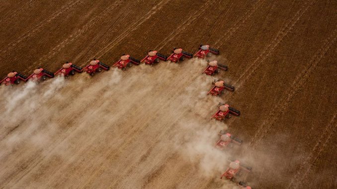 Brasil será maior exportador de grãos do mundo em cinco anos