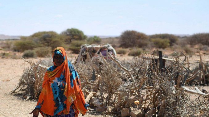 Fome na África: ONU fala em 22 milhões de pessoas em risco