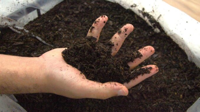 Fórum debate os desafios da compostagem e agricultura urbana em Santos