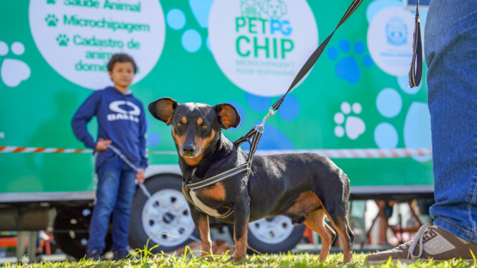 Com mais de mil atendimentos, ‘Pet PG Chip’ estende ações nos bairros até dezembro