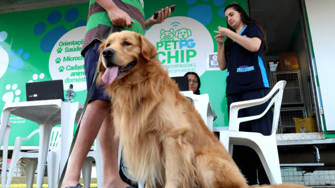 ‘Pet PG Chip’ chega ao Bairro Boqueirão no próximo sábado (4)