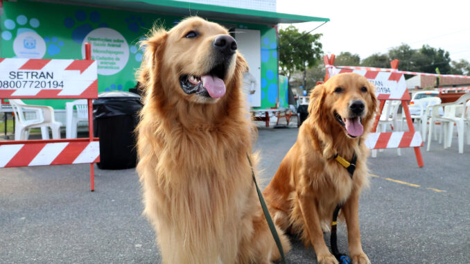 Bairro Caiçara receberá o projeto ‘Pet PG Chip’ no próximo domingo (16)